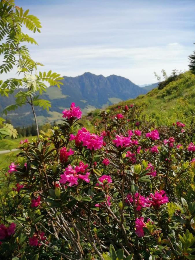 Stocker´s Wohlfühlapartments Reith im Alpbachtal Exterior foto